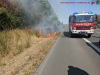 Brand - Freifläche, A81 Richtung Heilbronn, 23.08.2022